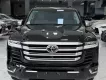 Toyota Land Cruiser LC300 2024 - Bán Land Cruiser LC300 sản xuất 2024, sơn Zin 100%.