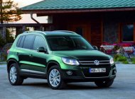 Volkswagen Tiguan DA 2015 - Bán Volkswagen Tiguan DA đời 2015, nhập khẩu nguyên chiếc giá 1 tỷ 390 tr tại Tp.HCM
