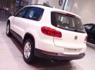 Volkswagen Tiguan 2016 - Cần bán xe Volkswagen Tiguan  2.0l đời 2016, màu trắng, nhập khẩu giá 1 tỷ 499 tr tại Cần Thơ