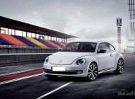 Volkswagen Beetle 1.2 TSI 2016 - Bán xe Đức Volkswagen Polo Hatchback AT màu cam giá 662 triệu, trả trước từ 133 triệu, giao xe toàn quốc giá 662 triệu tại Quảng Bình