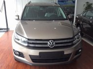 Volkswagen Tiguan 2.0 TSI 2016 - Đà Nẵng: Volkswagen Tiguan 2.0 TSI đời 2016, màu nâu, nhập khẩu nguyên chiếc giá 1 tỷ 290 tr tại Bình Định