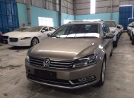 Volkswagen Passat Estate 2014 - Bán Volkswagen Passat Estate, xe Đức, Options Châu Âu.... Duy nhất 1 chiếc  giá 1 tỷ 281 tr tại Vĩnh Long
