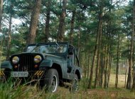 Jeep CJ 1968 - Bán Jeep CJ sản xuất 1968, màu xanh lam, nhập khẩu chính chủ giá cạnh tranh giá 100 triệu tại Lâm Đồng