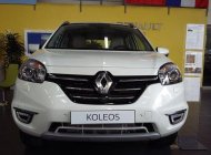 Renault Koleos 2.5 4x4 Privilege 2015 - Renault Hà Nội bán xe Renault Koleos 2.5 4x4 Privilege 2015 giá tốt giá 1 tỷ 494 tr tại Hà Nội