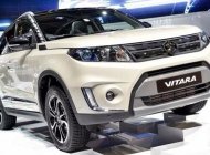 Suzuki Vitara   2016 - Cần bán xe Suzuki Vitara sản xuất 2016, nhập khẩu   giá 779 triệu tại Cần Thơ