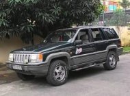 Jeep Grand Cheroke   1994 - Cần bán Jeep Grand Cheroke 1994, màu đen, nhập khẩu, giá 225tr giá 225 triệu tại Tp.HCM