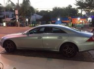 Mercedes-Benz CLS class 350 2005 - Cần bán Mercedes CLS 350 đời 2005, màu bạc, nhập khẩu chính hãng giá cạnh tranh giá 550 triệu tại Đồng Nai