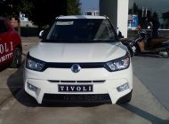 Ssangyong Ssangyong khác 2016 - Cần bán Ssangyong Tivoli đời 2016, màu trắng, xe nhập giá 661 triệu tại Tp.HCM