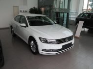 Volkswagen Passat 2016 - Bán xe Passat, nhập chính hãng từ Đức, nhiều ưu đãi trong tháng, liên hệ Ms. Liên 0963 241 349 giá 1 tỷ 299 tr tại BR-Vũng Tàu