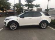 LandRover Discovery 2016 - Bán xe LandRover Discovery sản xuất 2016 màu trắng, 2 tỷ 499 triệu, xe nhập giá 2 tỷ 499 tr tại Đồng Nai