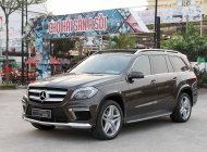 Mercedes-Benz GL-Class 500 2014 - Xe Mercedes 500 đời 2015, màu nâu, nhập khẩu nguyên chiếc giá 4 tỷ 650 tr tại Tp.HCM