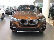 BMW X4 xDrive20i 2017 - Bán xe BMW X4 xDrive20i đời 2017, màu nâu, xe nhập, ưu đãi hấp dẫn, giao xe tại nhà giá 2 tỷ 808 tr tại Đà Nẵng