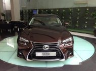 Lexus GS350 AT 2017 - Bán Lexus GS350 AT đời 2017, màu nâu, nhập khẩu nguyên chiếc giá 4 tỷ 390 tr tại Tp.HCM