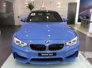 BMW M3 3.0 AT 2017 - Cần bán BMW M3 3.0 AT sản xuất 2017, nhập khẩu chính hãng giá 3 tỷ 798 tr tại Hà Nội