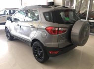 Ford EcoSport Titanium 1.5P AT 2017 - Bán Ford EcoSport Titanium 1.5P AT đời 2017, màu bạc - giá tốt nhất - giao xe tận nhà - hỗ trợ vay 75% giá trị xe giá 658 triệu tại Quảng Trị