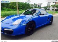 Porsche Cayman 2008 - Bán Porsche Cayman 2008, màu xanh lam, nhập khẩu giá 1 tỷ 450 tr tại Tp.HCM