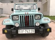 Jeep CJ 1996 - Bán Jeep CJ sản xuất 1996, màu xanh, nhập khẩu giá 322 triệu tại Tp.HCM