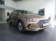 Hyundai Elantra 1.6 MT 2017 - Cần bán Hyundai Elantra 2017 giá tốt, hỗ trợ vay vốn 100%, liên hệ: 01887177000 Ninh Thuận giá 615 triệu tại Ninh Thuận