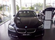 BMW 5 Series 520i 2016 - BMW Đà Nẵng bán xe BMW 5 Series 520i đời 2016, màu đen, nhập khẩu chính hãng, mới 100% giá 2 tỷ 212 tr tại TT - Huế