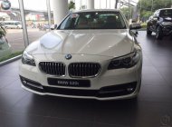 BMW 5 Series 520i 2016 - BMW Đà Nẵng bán xe BMW 5 Series 520i sản xuất 2016, màu trắng, nhập khẩu nguyên chiếc giá 2 tỷ 212 tr tại TT - Huế