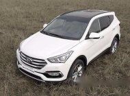 Hyundai Santa Fe 2017 - Bán xe Hyundai Santa Fe sản xuất 2017 giá 1 tỷ 70 tr tại Phú Yên