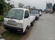 Suzuki Super Carry Truck 2017 - Bán Suzuki Supper Carry Truck 2017, màu trắng, xe giao ngay tại Bình Định- LH: 0915 240 992 giá 249 triệu tại Gia Lai