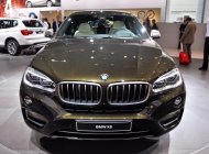 BMW X6 xDrive35i 2016 - Bán ô tô BMW X6 xDrive35i phiên bản 2017, nhập khẩu, màu Sparkling Storm, giá ưu đãi, giao xe sớm giá 3 tỷ 698 tr tại Gia Lai