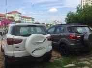 Ford EcoSport     2017 - Cần bán Ford EcoSport năm 2017 giá cạnh tranh giá 585 triệu tại Vĩnh Long
