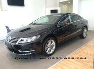 Volkswagen Passat CC 2013 - Cần bán xe nhập khẩu mới 100% - Volkswagen Passat CC - Giá mới điều chỉnh nhiều ưu đãi giá 1 tỷ 100 tr tại Tp.HCM