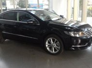 Volkswagen Passat CC 2013 - Volkswagen Passat CC - Sedan nhập khẩu chính hãng - Mua xe vui lòng liên hệ Quang Long 0933689294 giá 1 tỷ 100 tr tại Tp.HCM