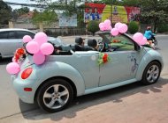 Volkswagen New Beetle 2004 - Cần bán Volkswagen New Beetle đời 2004, màu xanh lam, xe nhập giá cạnh tranh giá 517 triệu tại Bình Dương