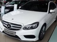 Mercedes-Benz E300 2014 - Bán xe Mercedes E300 AMG 2014 màu trắng. giá 1 tỷ 400 tr tại Tp.HCM