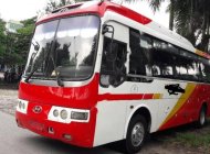 Hyundai Aerotown 2006 - Bán xe Hyundai Aerotown đời 2006, màu đỏ trắng   giá 455 triệu tại Hà Nội