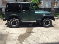 Jeep Wrangler 1995 - Bán ô tô Jeep Wrangler đời 1995, màu xanh lam, xe nhập số tự động  giá 180 triệu tại Bình Dương