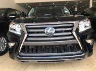 Lexus GX460 USA 2018 - Cần bán Lexus GX460 USA đời 2018, màu đen, nhập khẩu Mỹ giá 5 tỷ 760 tr tại Hà Nội