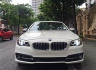 BMW 1 2014 - Việt Nhật Auto bán xe BMW 520i model 2015, màu Trắng nội thất kem. giá 1 tỷ 590 tr tại Hà Nội