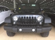 Jeep Wrangler Rubicon 2017 - Bán Jeep Wrangler Rubicon đời 2017, màu đen, xe nhập giá 4 tỷ tại Hà Nội