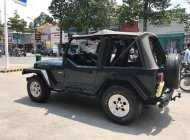 Jeep Wrangler MT 1995 - Cần bán lại xe Jeep Wrangler đời 1995, màu xanh lam, nhập khẩu số sàn giá 450 triệu tại Tp.HCM