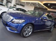Mercedes-Benz C class C250 2017 - Bán Mercedes C250 đời 2017, nhập khẩu nguyên chiếc giá 1 tỷ 729 tr tại Điện Biên