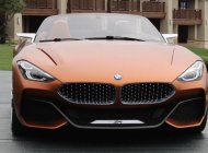 BMW Z4 2017 - Bán xe BMW Z4 đời 2017, màu nâu, xe nhập giá 2 tỷ 700 tr tại Tiền Giang