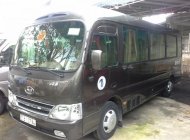 Hyundai County Limousine 2009 - Cần bán gấp Hyundai County Limousine đời 2009, màu nâu, 590 triệu giá 590 triệu tại Tp.HCM