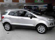 Ford EcoSport   1.5L AT Titanium 2017 - Bán Ford EcoSport 1.5L AT Titanium đời 2017, màu bạc, 570 triệu giá 570 triệu tại Quảng Ngãi