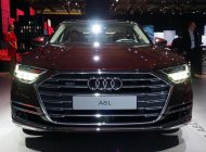 Audi A8 2017 - Bán ô tô Audi A8 đời 2017, màu nâu giá 4 tỷ 900 tr tại Tiền Giang