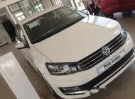 Volkswagen Polo 2016 - Bán ô tô Volkswagen Polo đời 2016, màu trắng  giá 690 triệu tại Đắk Lắk