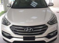 Hyundai Santa Fe  CKD 2017 - Bán Hyundai Santa Fe CKD đời 2017, màu trắng giá 1 tỷ 180 tr tại Quảng Ngãi