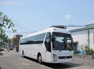 Hyundai Universe 2017 - Cần bán Hyundai Universe đời 2017, màu trắng, nhập khẩu chính hãng giá 3 tỷ 760 tr tại Cần Thơ