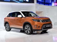 Suzuki Grand vitara 2016 - Bán Suzuki Grand Vitara đời 2016, hai màu, nhập khẩu, 679 triệu giá 679 triệu tại Lâm Đồng