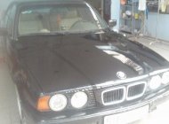 BMW 5 Series 525i 1995 - Cần bán BMW 5 Series 525i đời 1995, màu đen xe gia đình, giá 170tr giá 170 triệu tại Tp.HCM