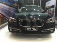 BMW 7 Series 730I AT 2017 - Cần bán xe BMW 7 Series 730I AT đời 2017, màu đen, nhập khẩu nguyên chiếc giá 3 tỷ 768 tr tại Hà Nội