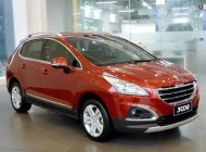 Peugeot 3008 AT 2014 - Bán ô tô Peugeot 3008 đời 2014, 989tr giá 989 triệu tại Tp.HCM